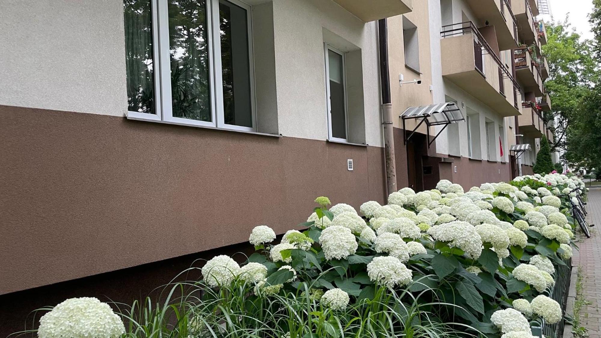 Na Muranowie - Mieszkanie Z Historia I In Muranow - A Flat With Warsaw History Eksteriør billede